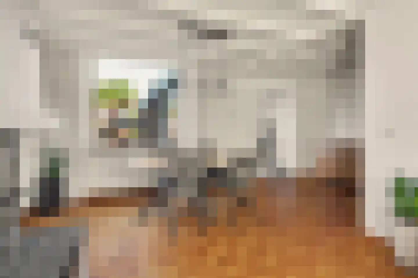Julianastraat 46 Dongen thumbnail 14