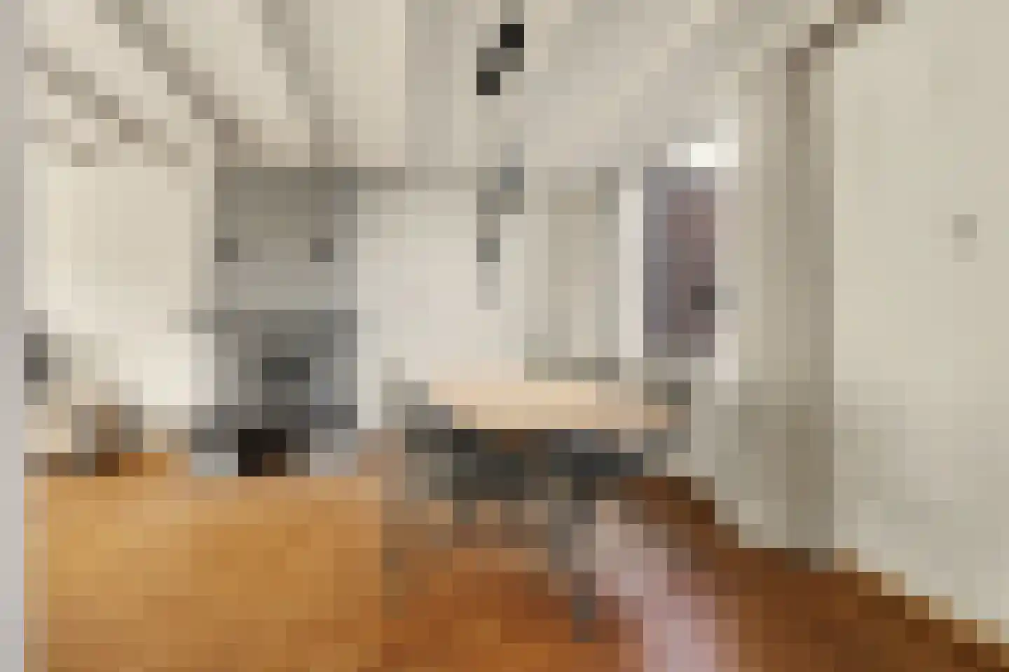 Julianastraat 46 Dongen thumbnail 16