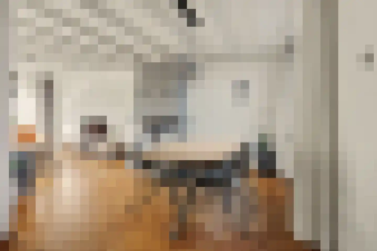 Julianastraat 46 Dongen thumbnail 17