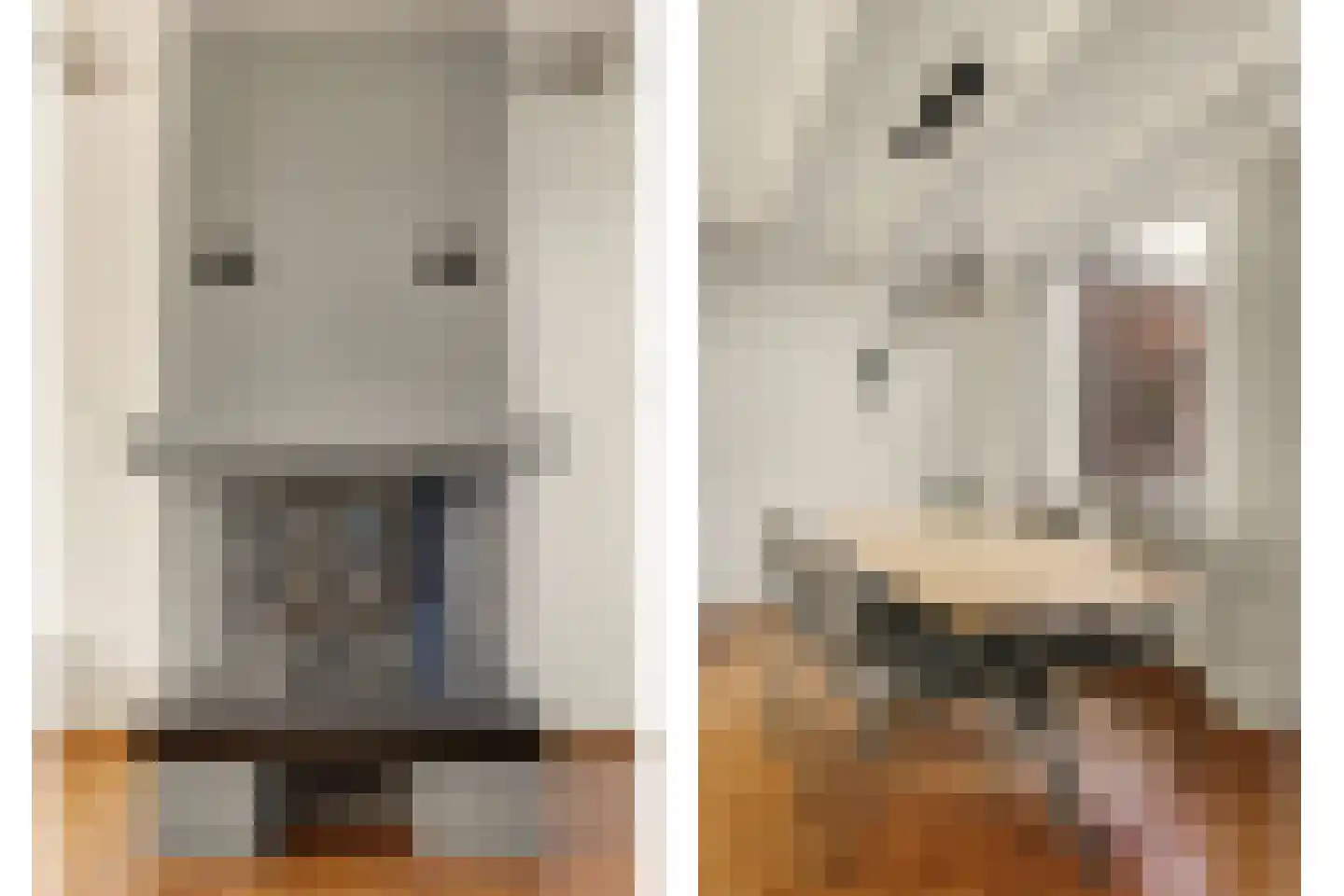Julianastraat 46 Dongen thumbnail 18