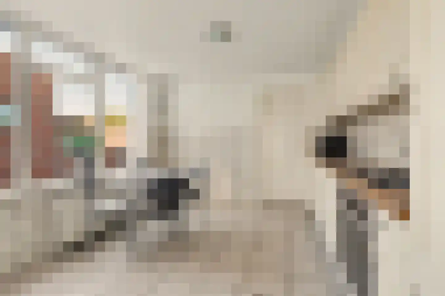 Julianastraat 46 Dongen thumbnail 20