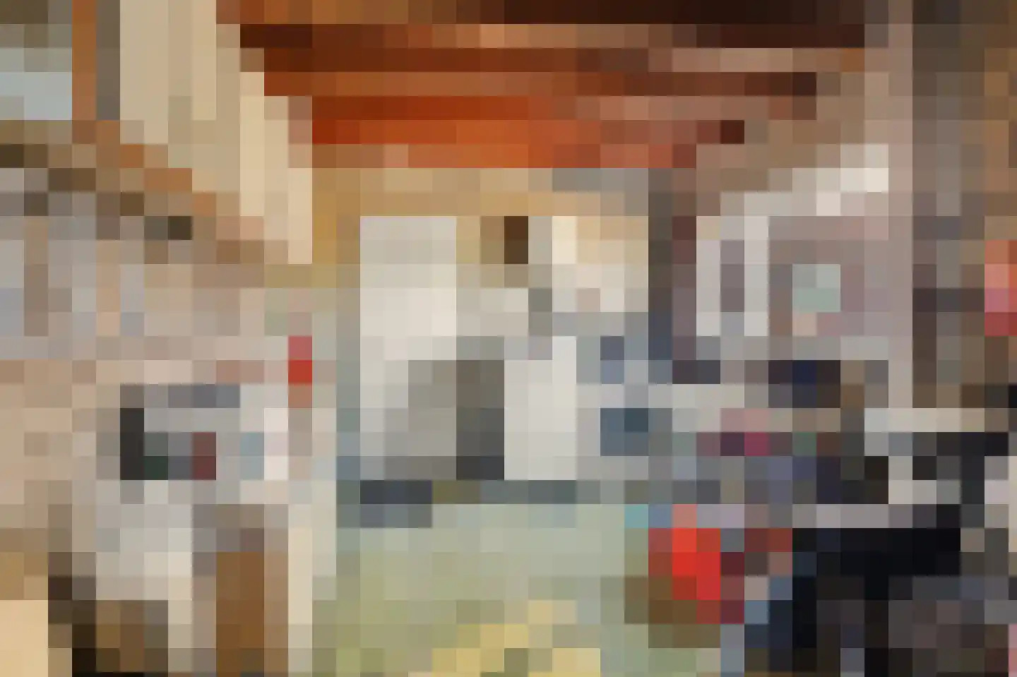 Julianastraat 46 Dongen thumbnail 24