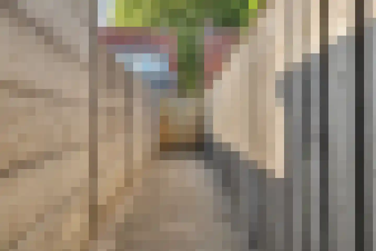 Julianastraat 46 Dongen thumbnail 34