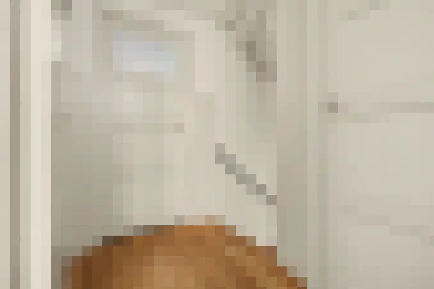 Julianastraat 46 Dongen thumbnail 35