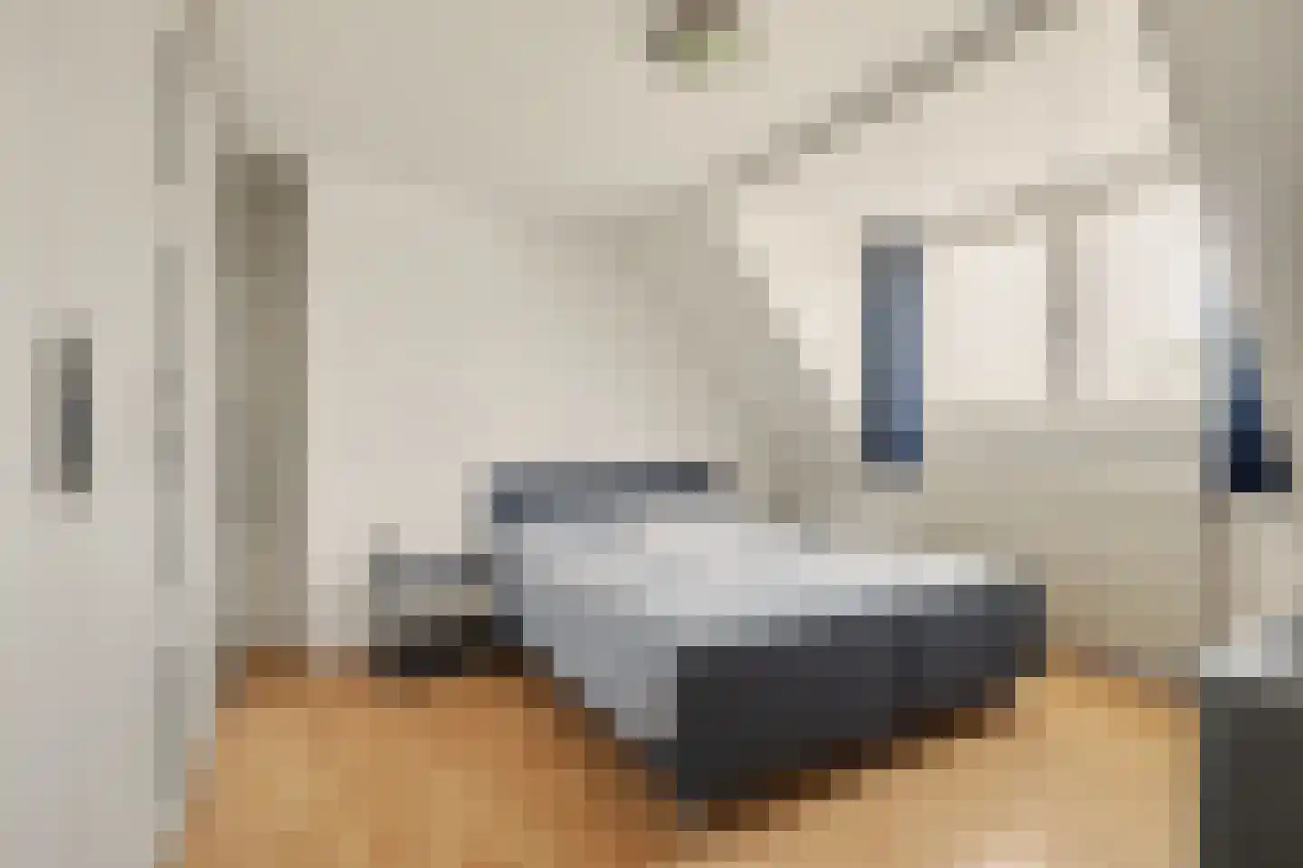 Julianastraat 46 Dongen thumbnail 36
