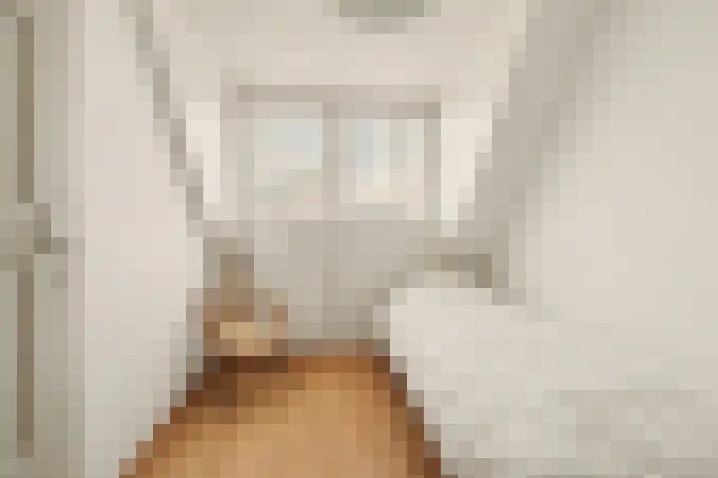 Julianastraat 46 Dongen thumbnail 39