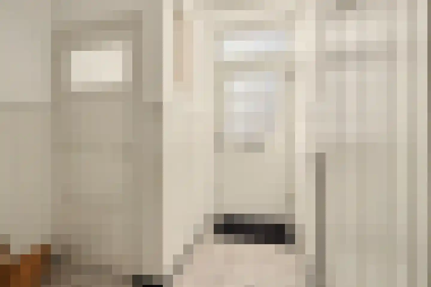 Julianastraat 46 Dongen thumbnail 8
