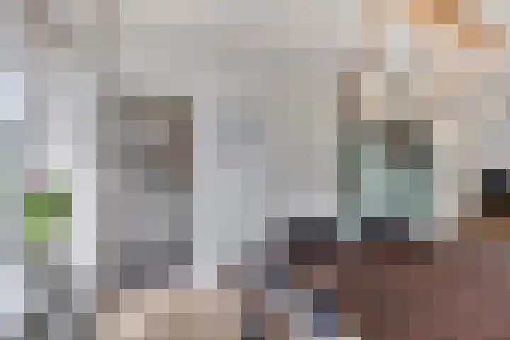 Julianastraat 46 Leiderdorp thumbnail 13