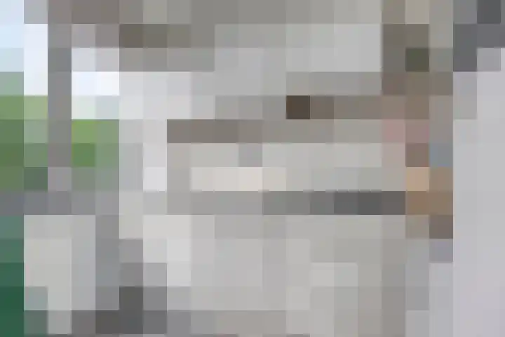 Julianastraat 46 Leiderdorp thumbnail 15
