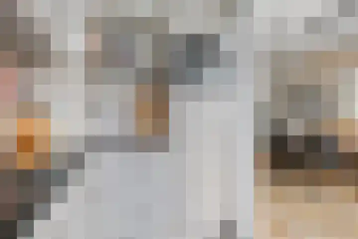 Julianastraat 46 Leiderdorp thumbnail 17