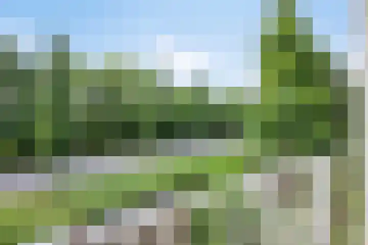 Julianastraat 46 Leiderdorp thumbnail 21