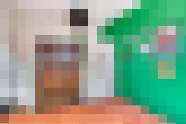 Julianastraat 46 Leiderdorp thumbnail 23