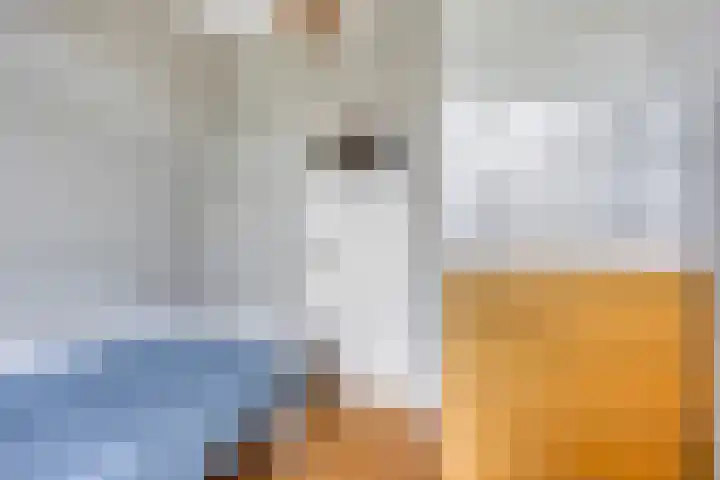 Julianastraat 46 Leiderdorp thumbnail 27