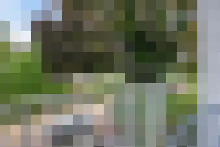 Julianastraat 46 Leiderdorp thumbnail 30