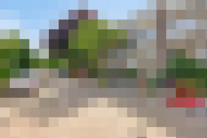 Julianastraat 46 Leiderdorp thumbnail 32