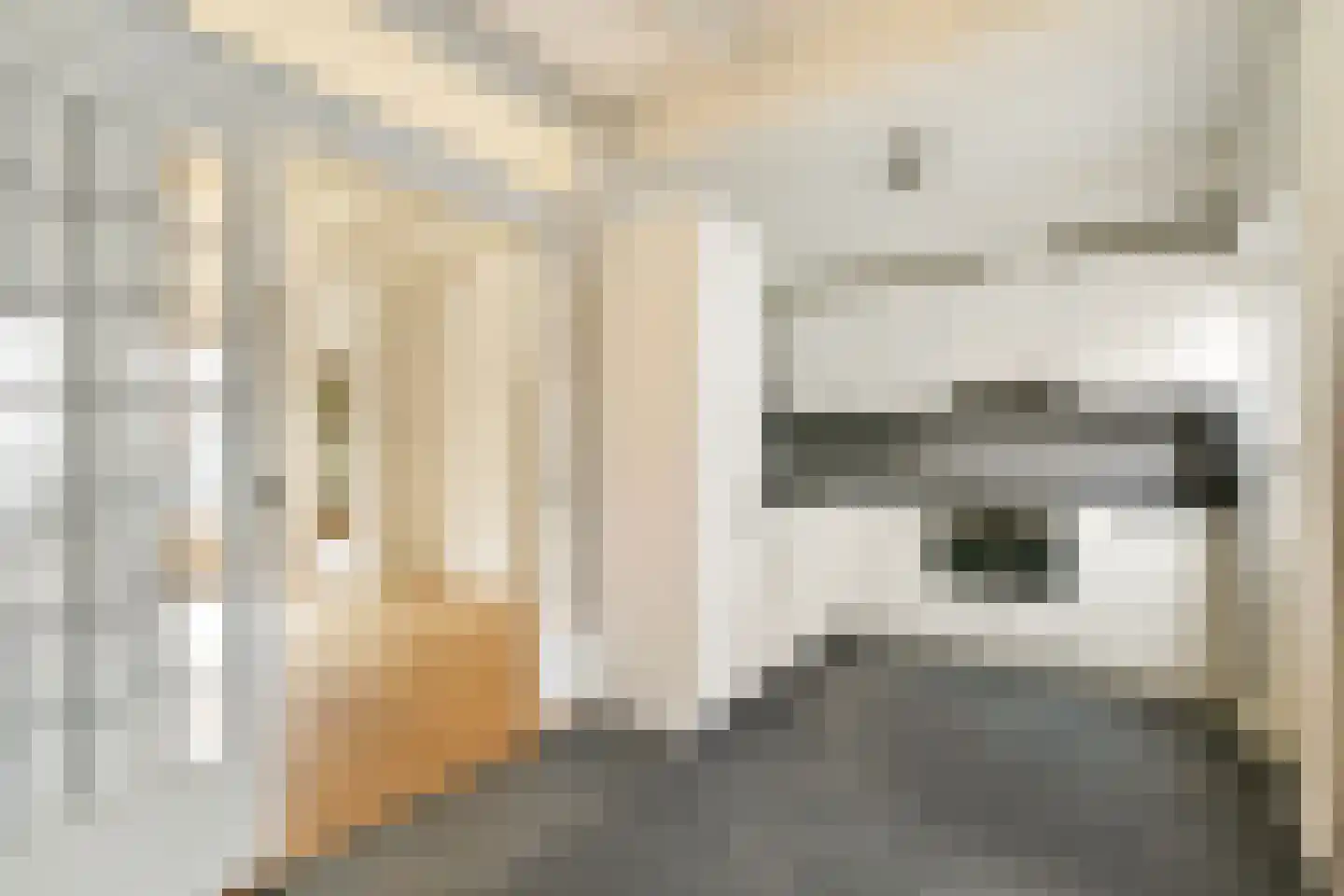 Julianastraat 46 Noordwijk thumbnail 10