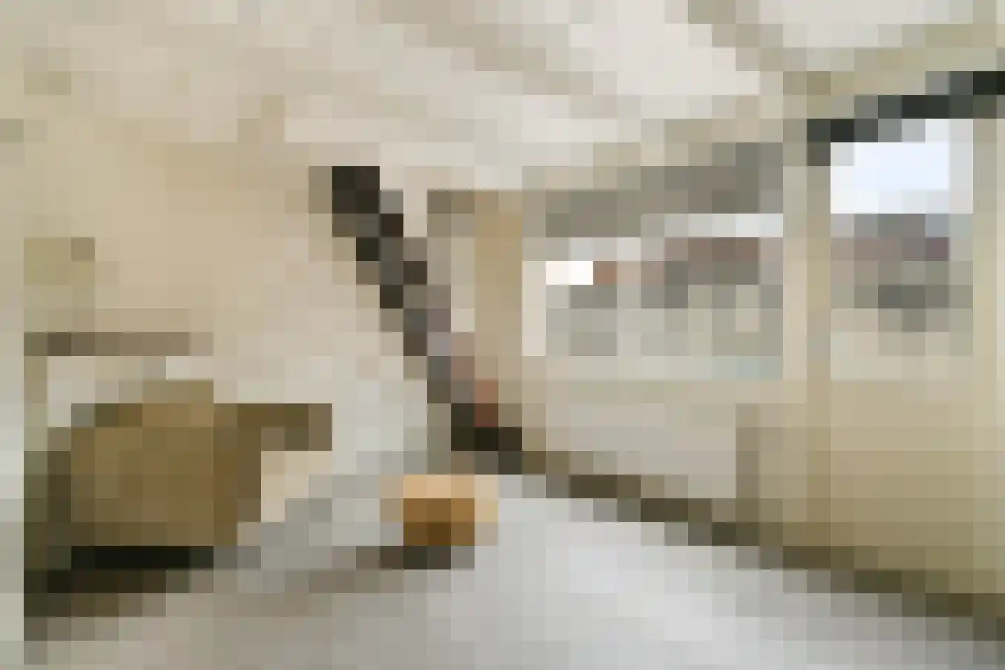 Julianastraat 46 Noordwijk thumbnail 32