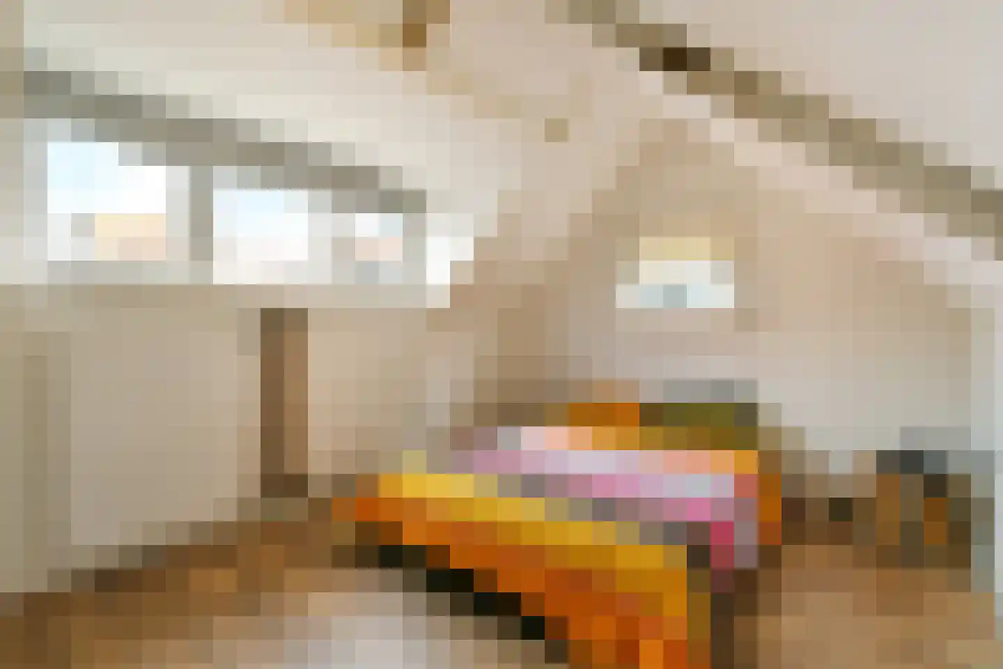 Julianastraat 46 Noordwijk thumbnail 34