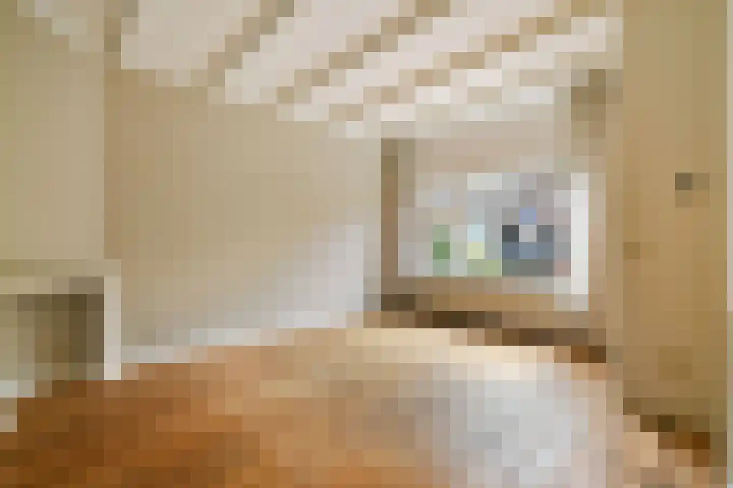 Julianastraat 46 Noordwijk thumbnail 6