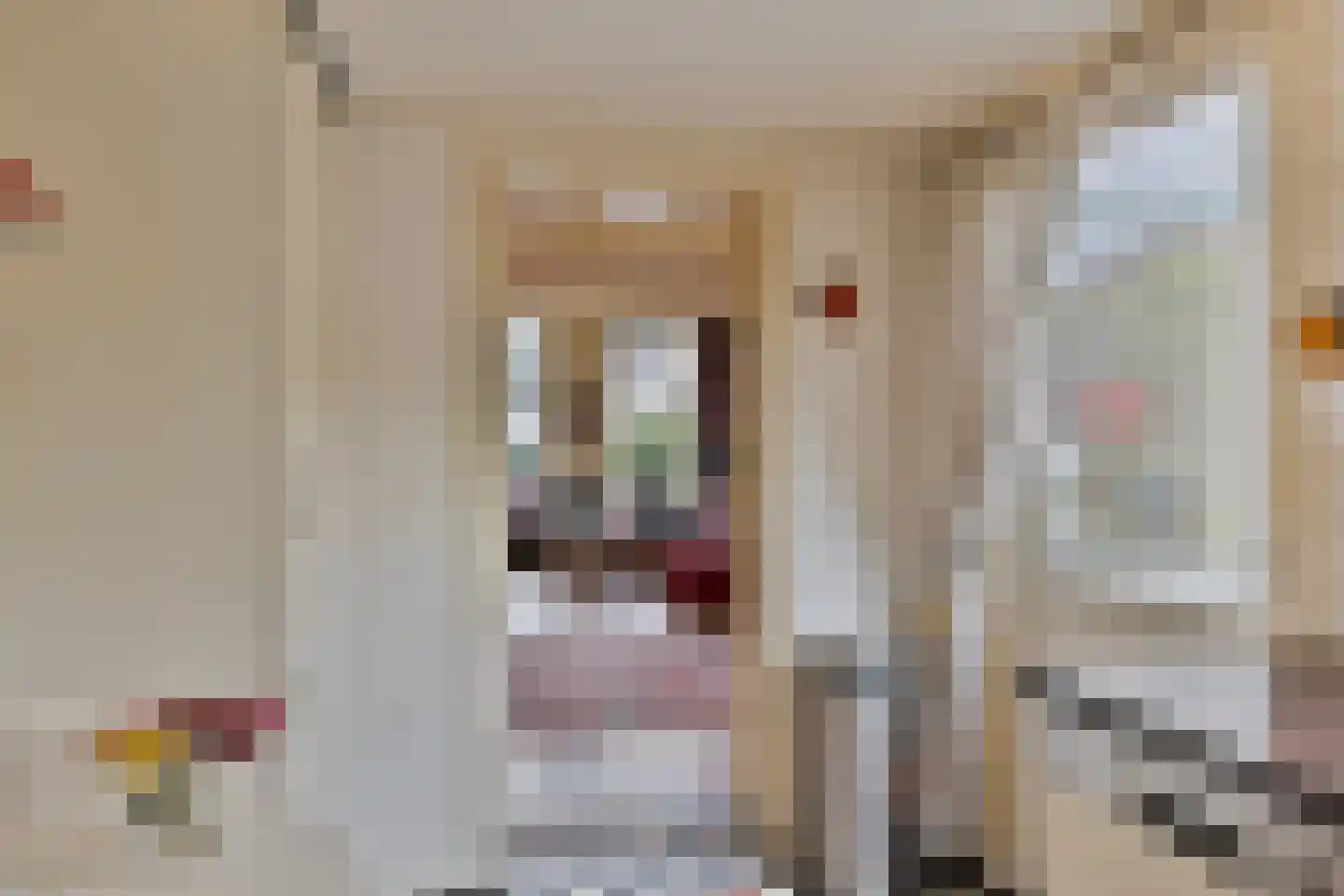 Julianastraat 47 Enter thumbnail 10