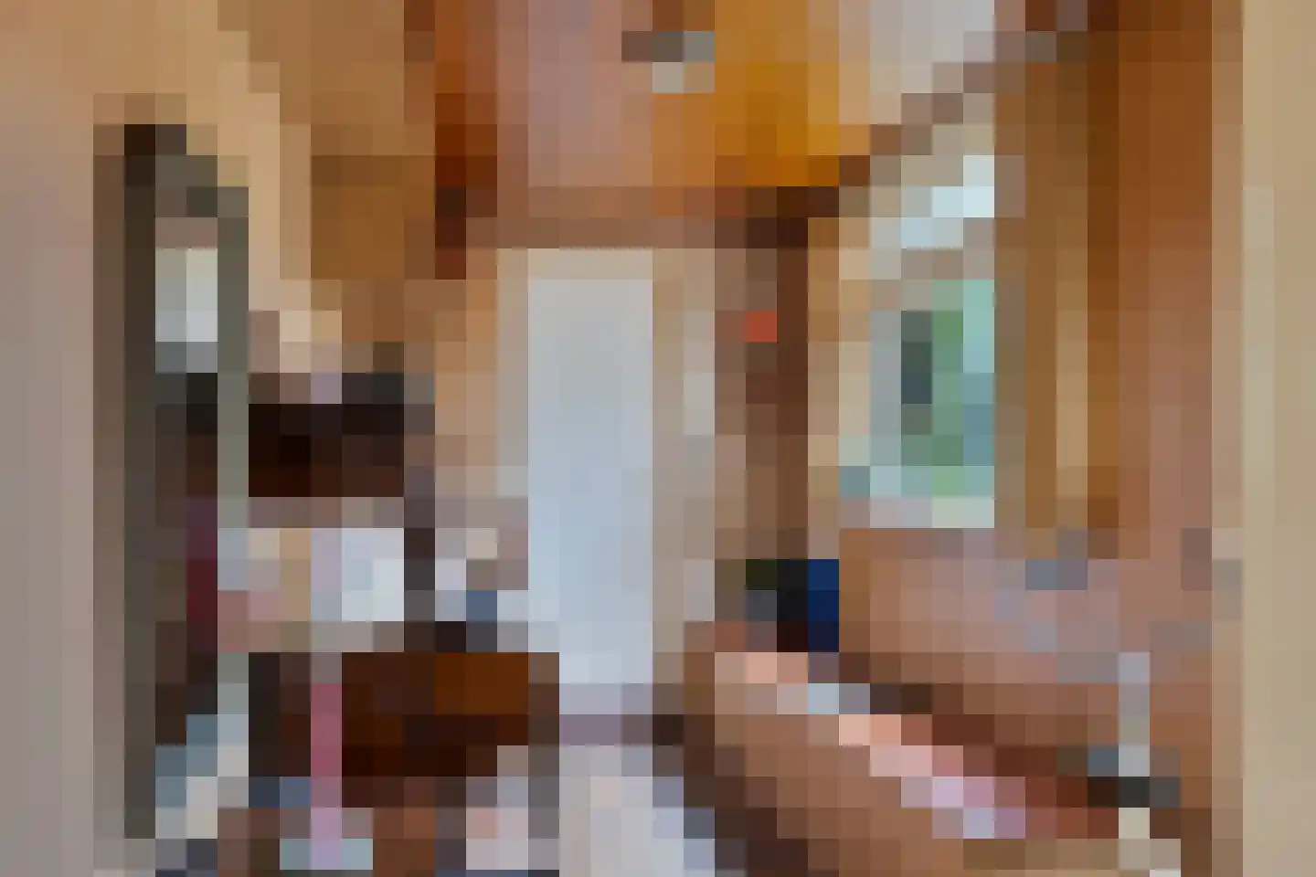 Julianastraat 47 Enter thumbnail 11