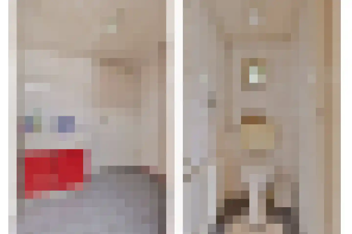 Julianastraat 47 Enter thumbnail 17