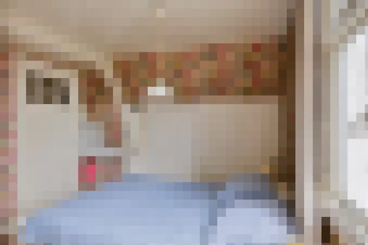 Julianastraat 47 Enter thumbnail 21