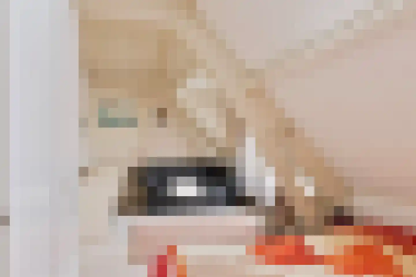 Julianastraat 47 Enter thumbnail 22