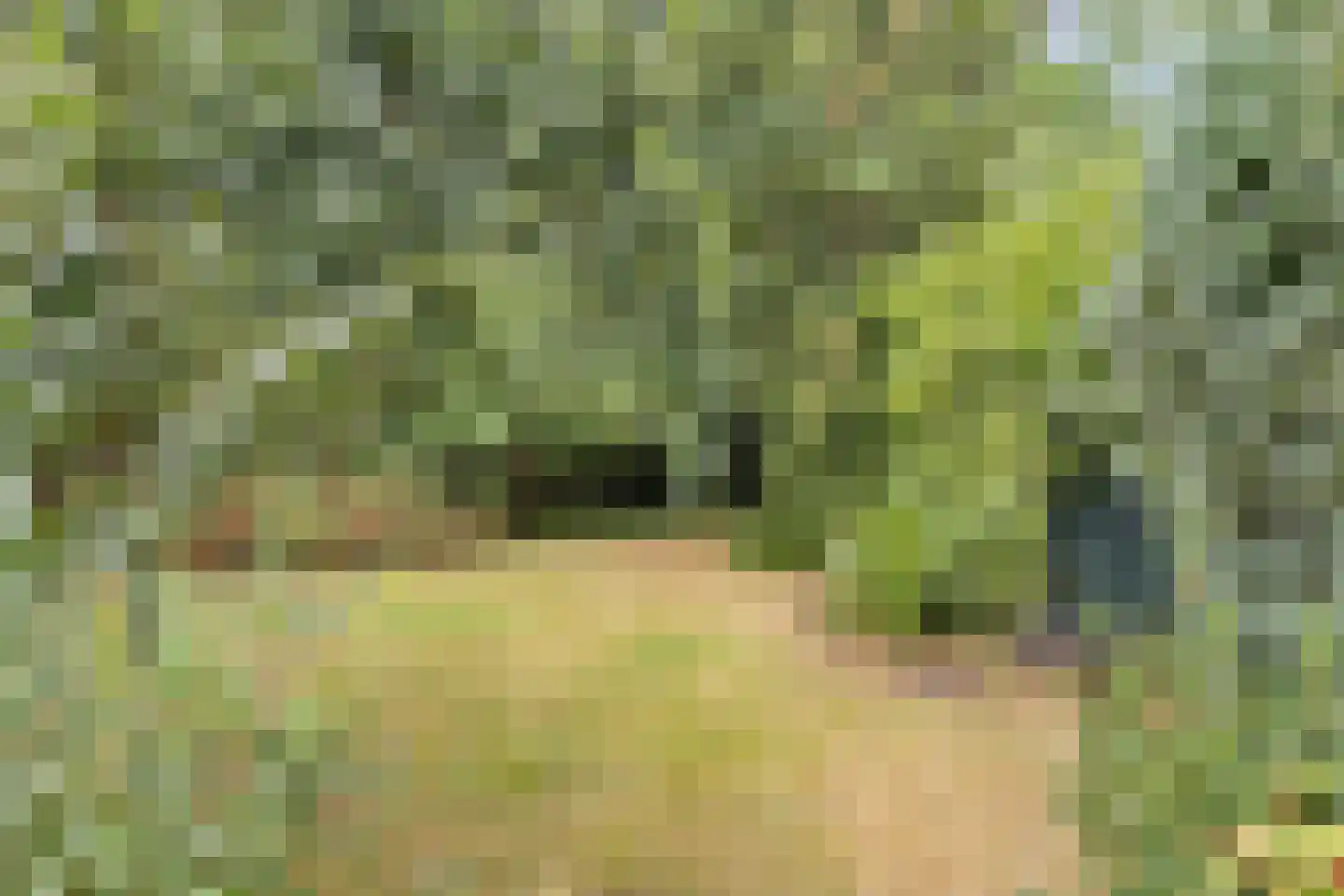 Julianastraat 47 Enter thumbnail 27