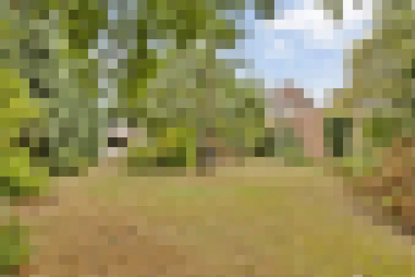Julianastraat 47 Enter thumbnail 28
