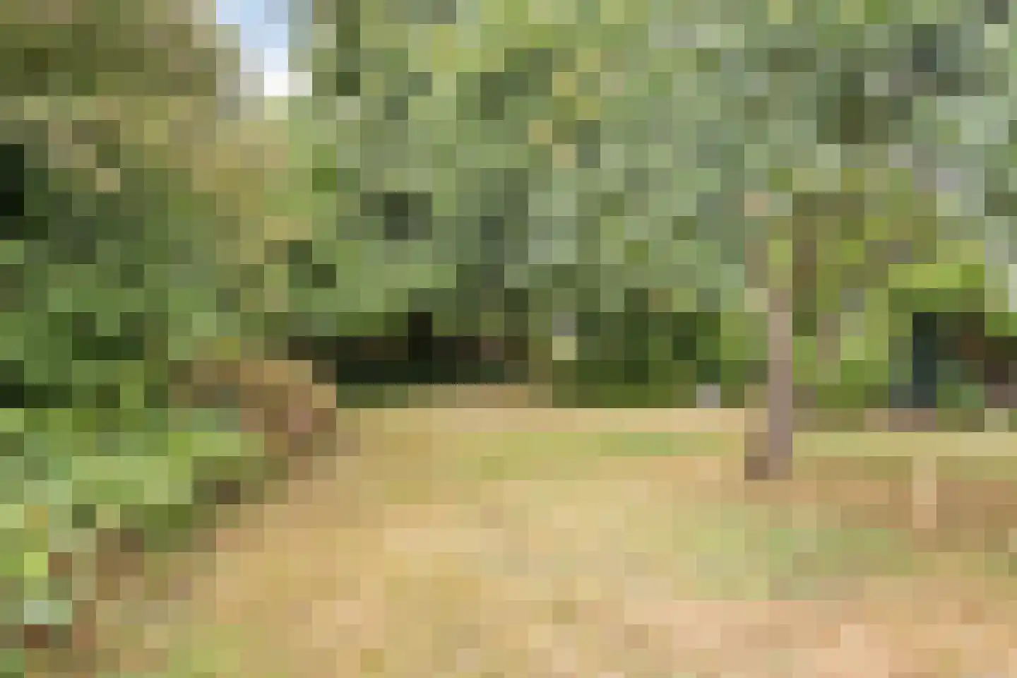 Julianastraat 47 Enter thumbnail 29