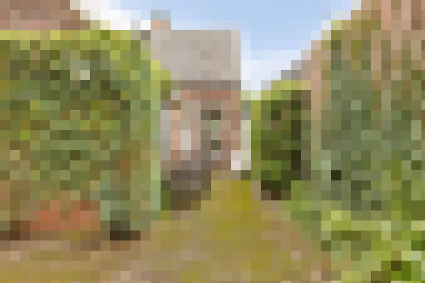 Julianastraat 47 Enter thumbnail 30
