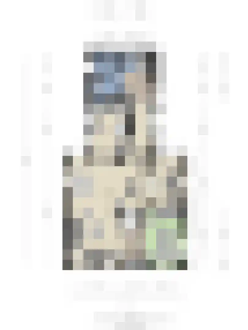 Julianastraat 47 Enter thumbnail 36