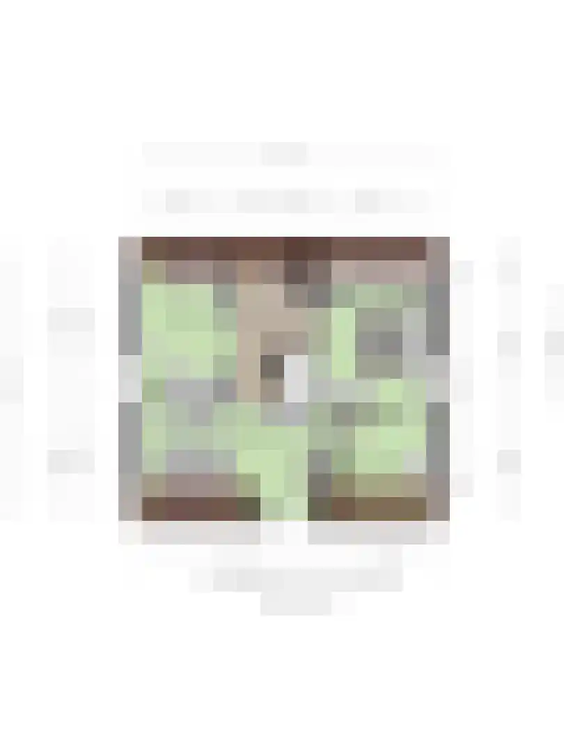 Julianastraat 47 Enter thumbnail 37
