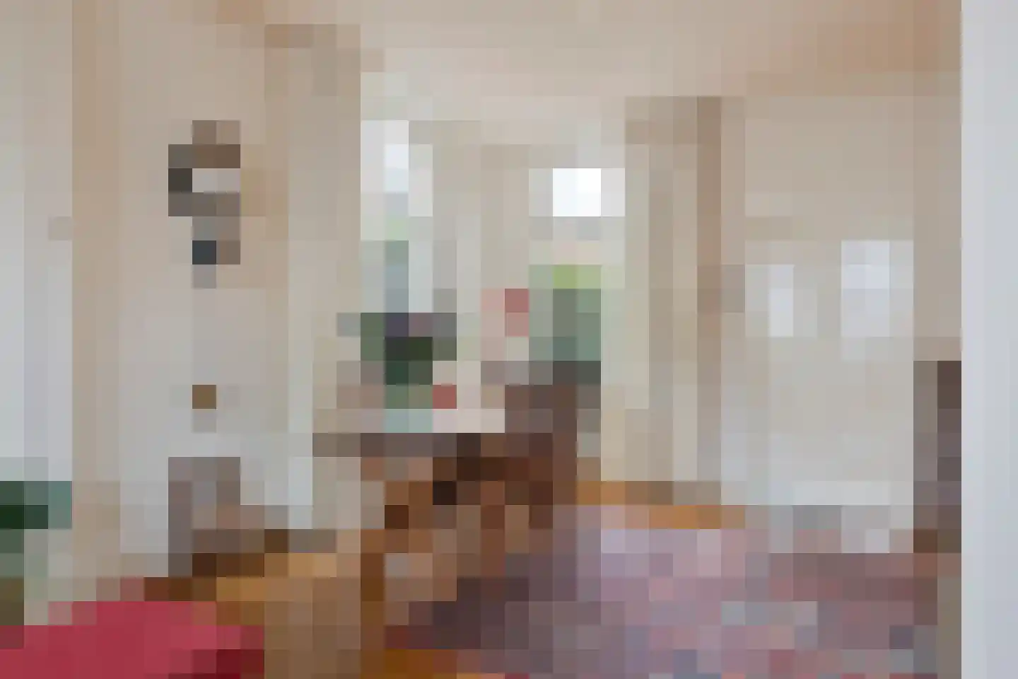 Julianastraat 47 Enter thumbnail 5