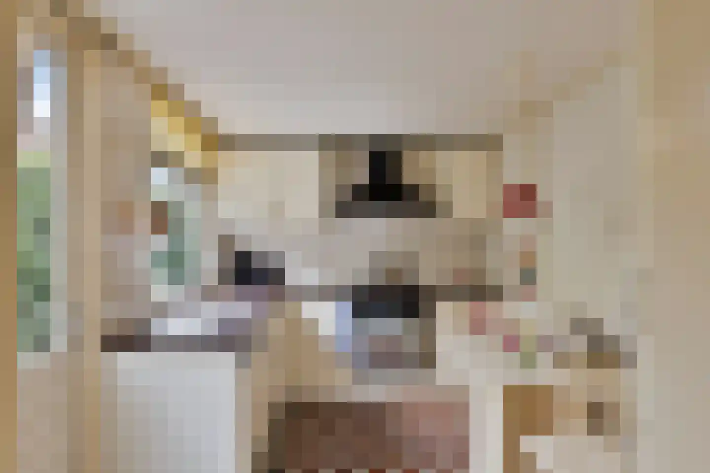 Julianastraat 47 Enter thumbnail 9