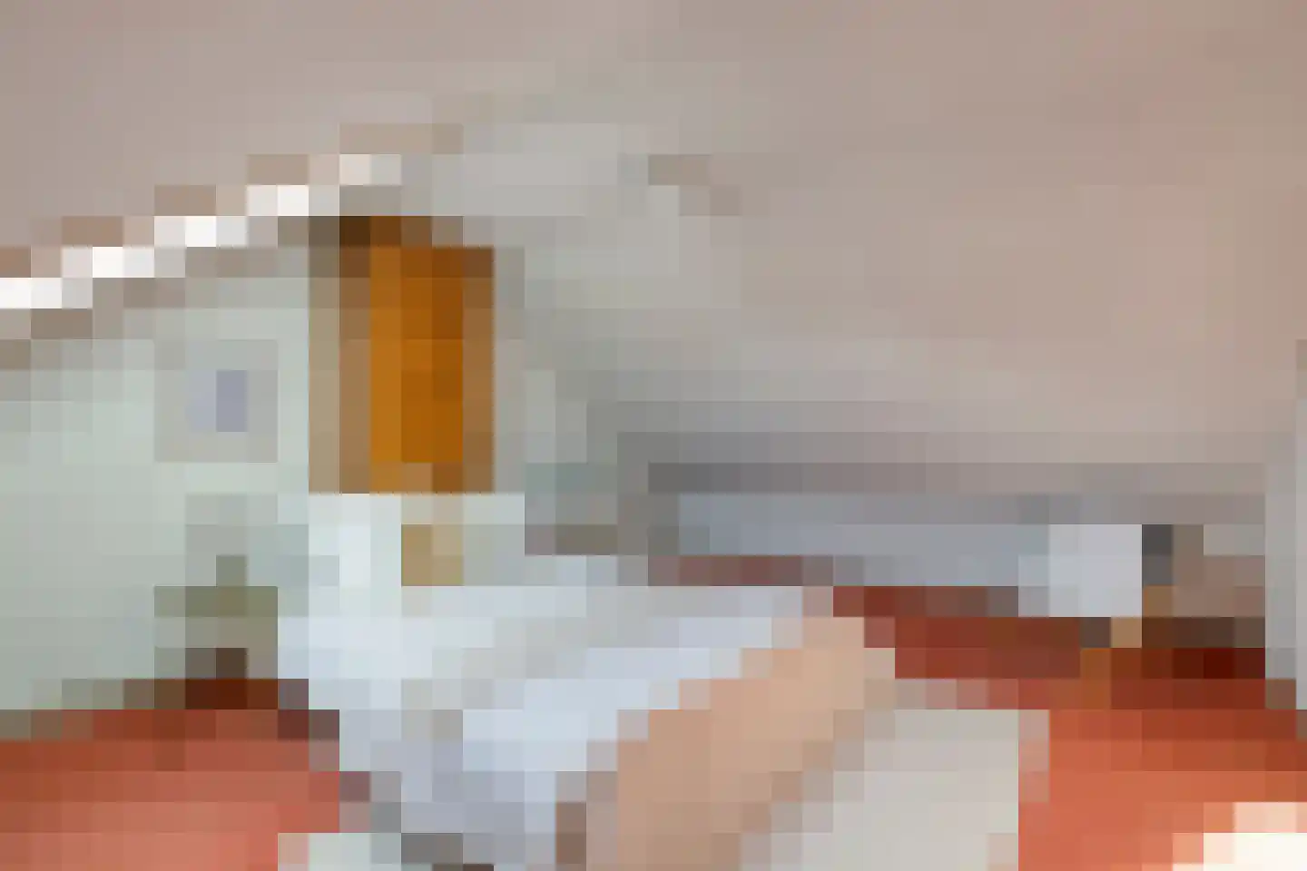 Julianastraat 47 Mariahout thumbnail 32