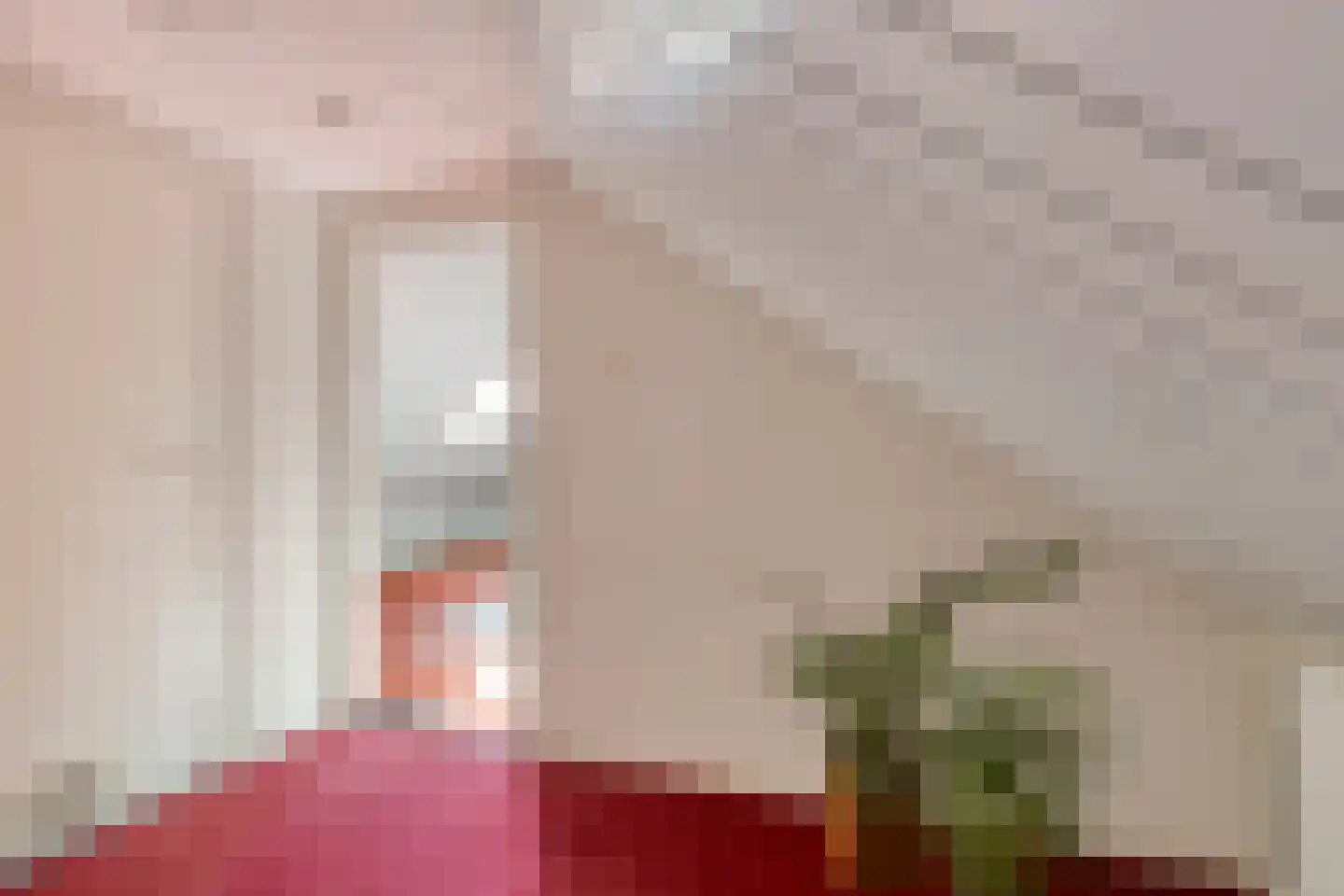 Julianastraat 47 Mariahout thumbnail 34