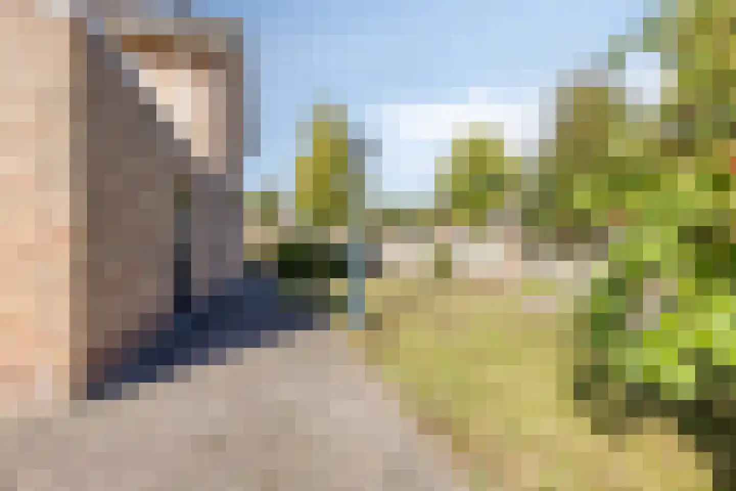 Julianastraat 47 Mariahout thumbnail 44