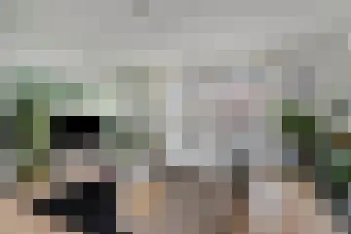 Julianastraat 48 a Sliedrecht thumbnail 12
