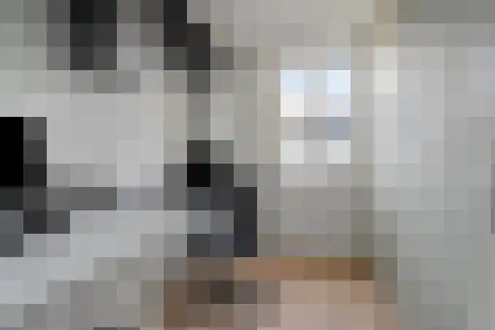 Julianastraat 48 a Sliedrecht thumbnail 21