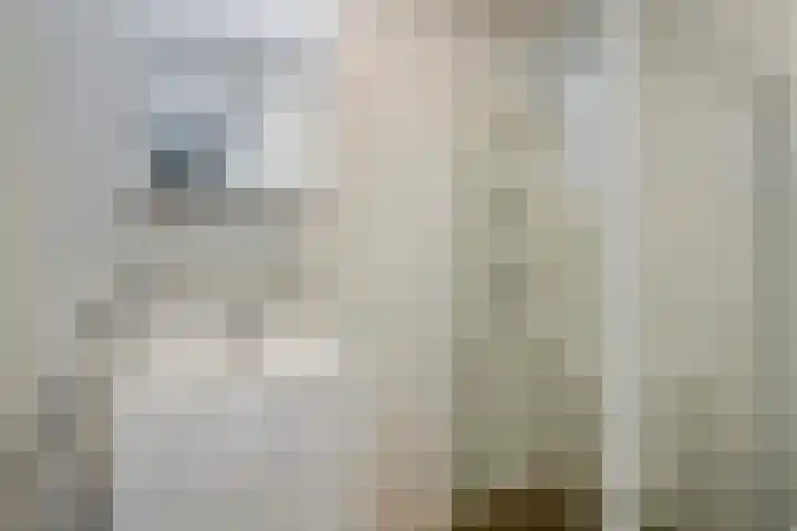 Julianastraat 48 a Sliedrecht thumbnail 23