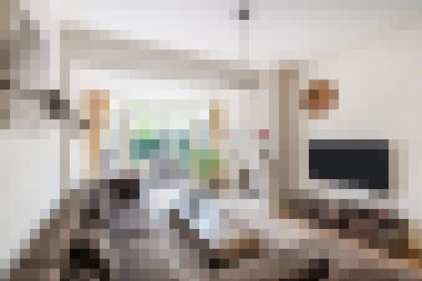 Julianastraat 48 Bodegraven thumbnail 10
