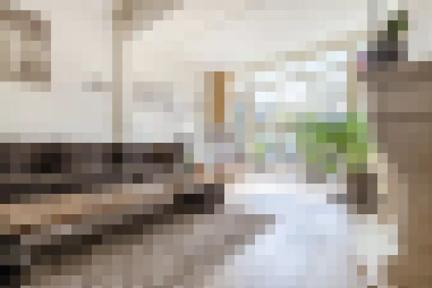 Julianastraat 48 Bodegraven thumbnail 16
