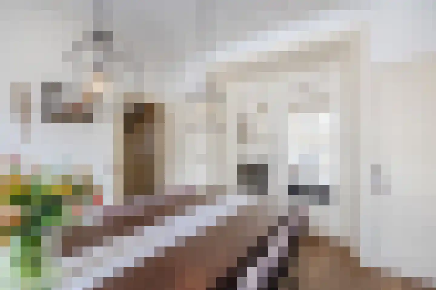 Julianastraat 48 Bodegraven thumbnail 20