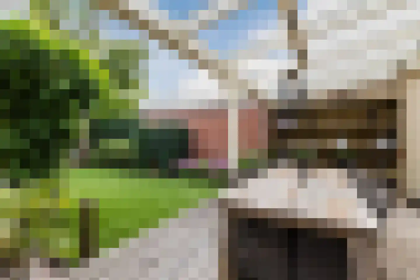 Julianastraat 48 Bodegraven thumbnail 25