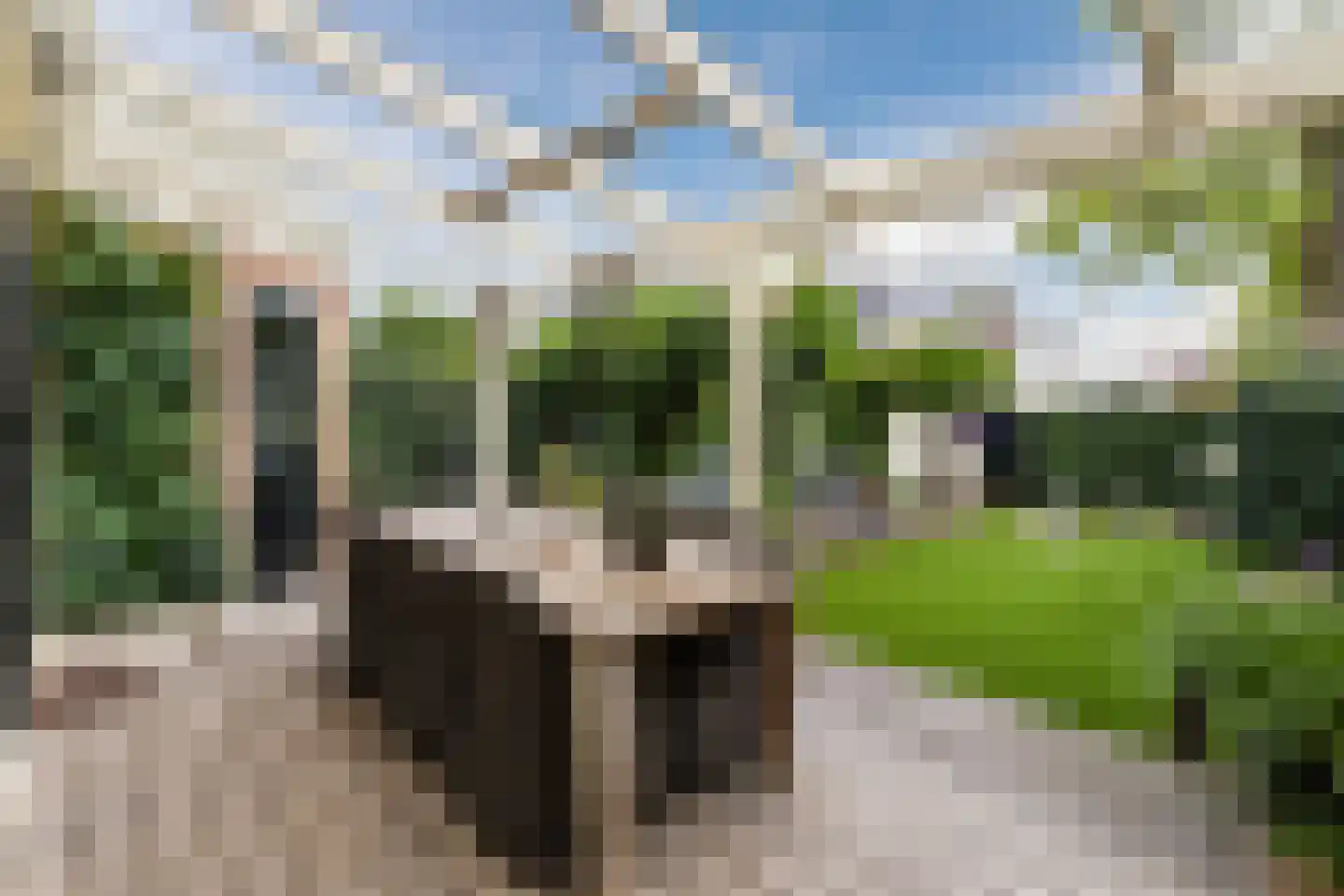 Julianastraat 48 Bodegraven thumbnail 26