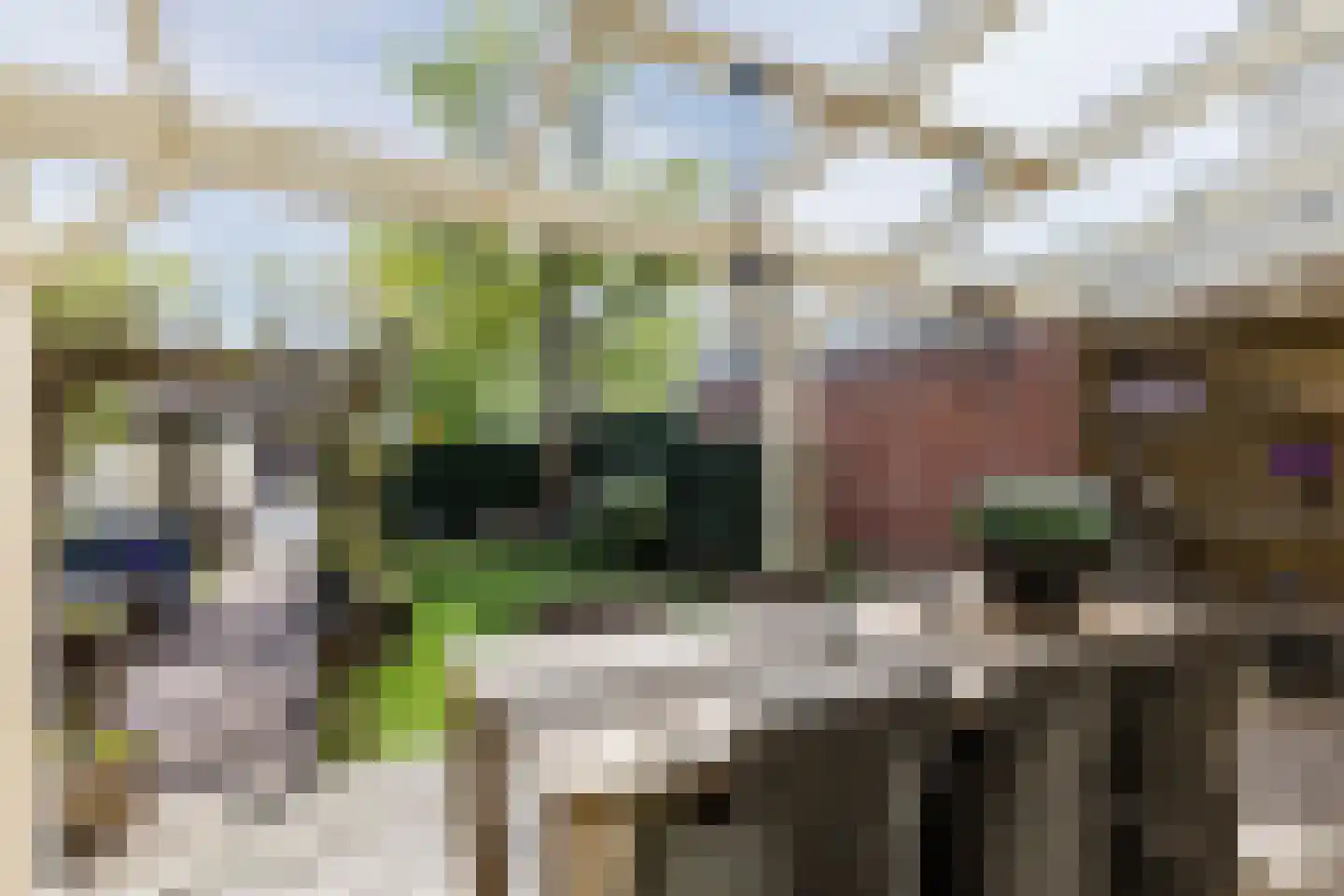 Julianastraat 48 Bodegraven thumbnail 39