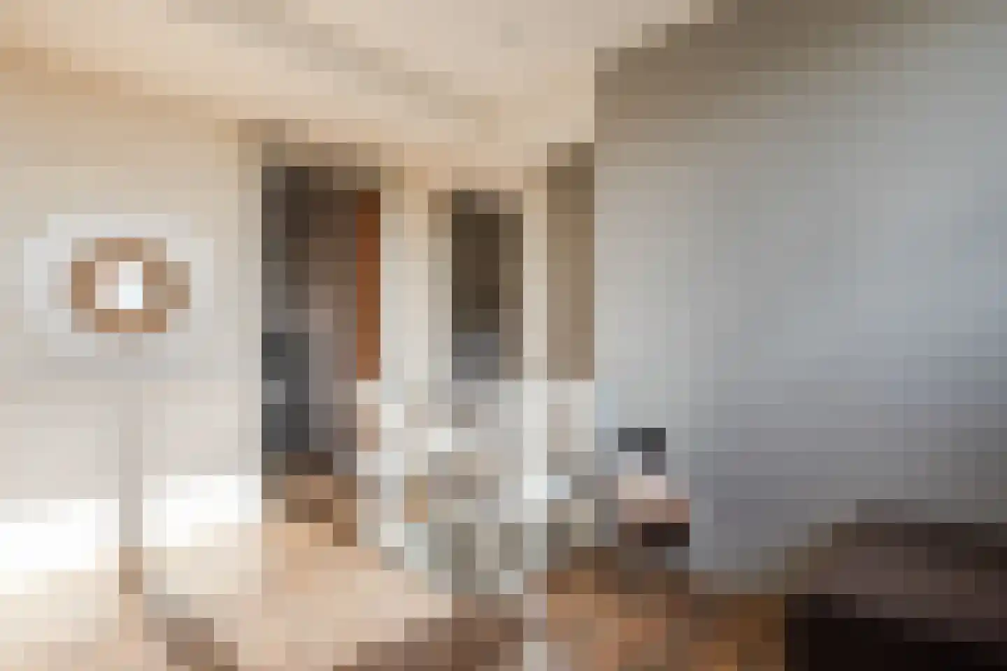 Julianastraat 48 Bodegraven thumbnail 40