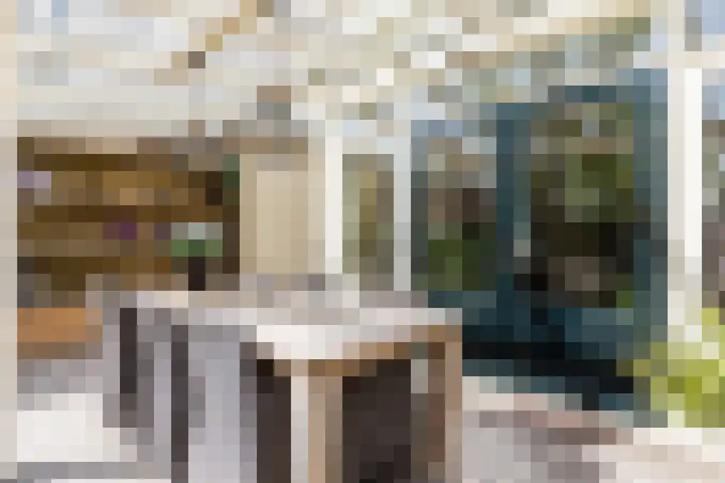 Julianastraat 48 Bodegraven thumbnail 42